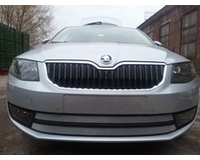 Сетка на радиатор на автомобиль Шкода Октавия А7 2013- Ambition-Elegance 2013- chrome. ZR.SKO.OCT.A7.AMB.13.c