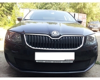 Защита радиатора на автомобиль Skoda Октавия А7 2013- Active 2013- black. ZR.SKO.OCT.A7.ACT.13.b