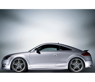 8J0800102 ABT AUDI TT Накладки порогов